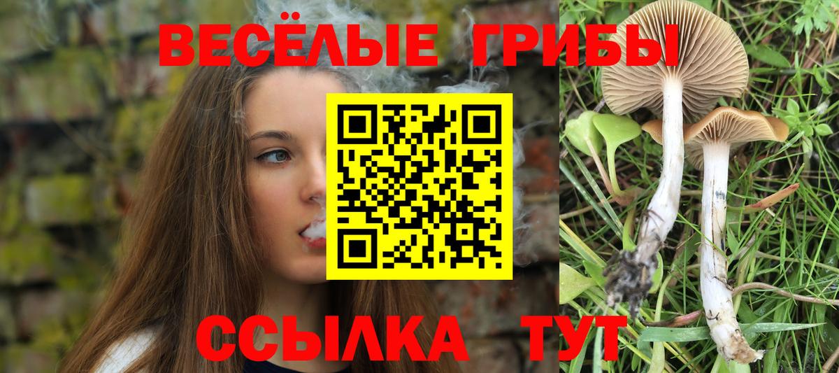 где купить   Псилоцибиновые грибы ЛСД  Вход с VPN  Анапа 