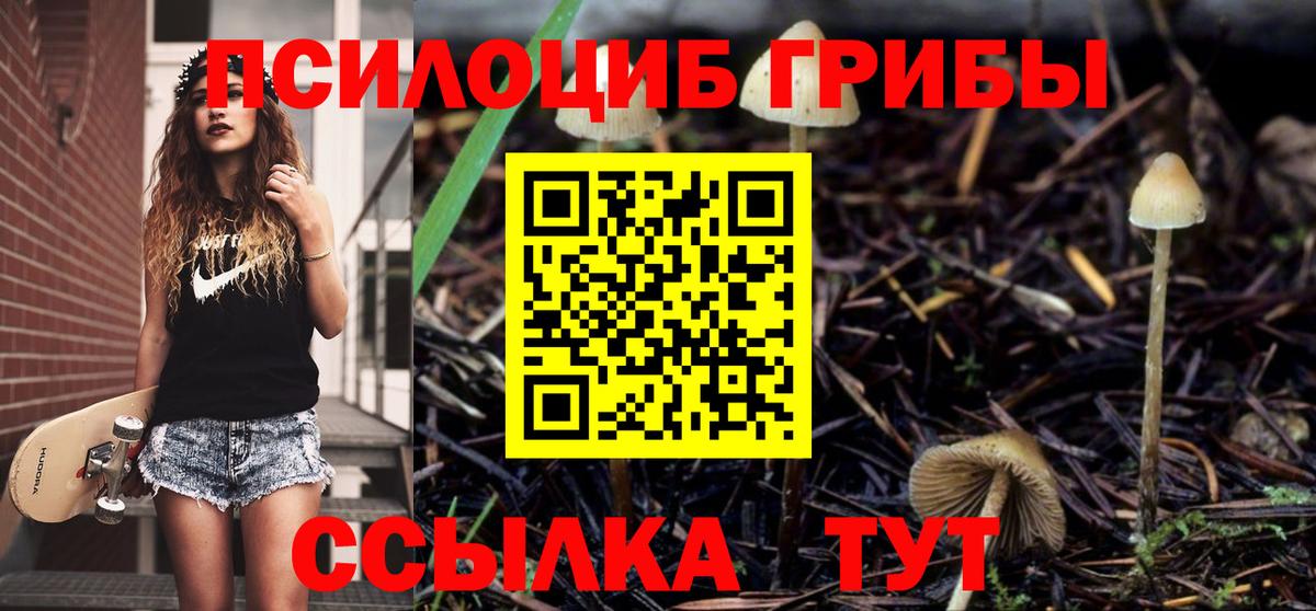 Псилоцибиновые грибы Cubensis Анапа